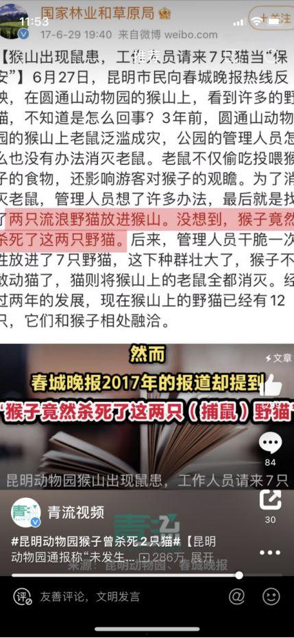 昆明动物园今日头条,探秘动物乐园，共赏自然魅力