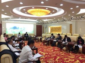 南宁县新闻头条网,聚焦本地热点，解码县域发展新动态