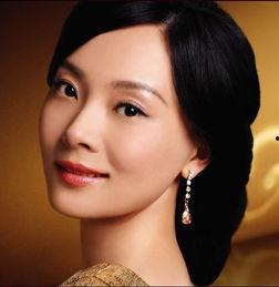 陈数长得像哪个明星,东方美人，似张曼玉风华绝代