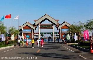 呼兰河口最新头条消息,揭秘生态保护与经济发展双赢新篇章