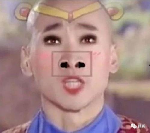 明星改编搞笑吹牛视频,视频笑料横生！