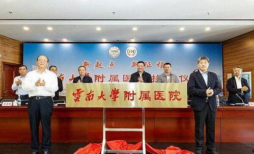 云南大医院爆料事件最新,真相与争议交织的医患关系风云