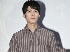 姓许的男明星,揭秘娱乐圈人气男星许某某的多面魅力