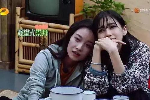 明星的孩子有多努力,明星子女的拼搏之路