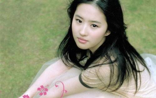 想哪一个明星,揭秘XXX的星光历程