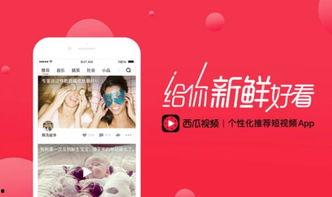 头条不能看西瓜视频,头条用户为何无法观看西瓜视频内容