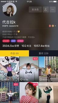 抖音网红33秒,揭秘短视频背后的魅力与影响力