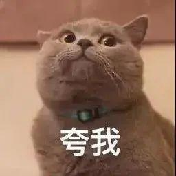 历年网红表情包图片,历年网红表情包大盘点