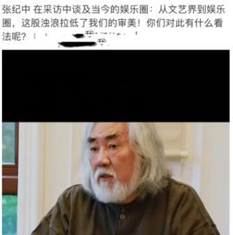 明星导演的争议,明星导演的争议与反思