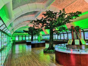 秦皇岛镜面网红打卡景点,光影交织的梦幻海岸线