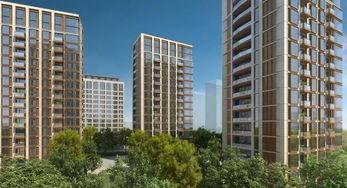 凤起钱潮网红,揭秘网红经济新势力