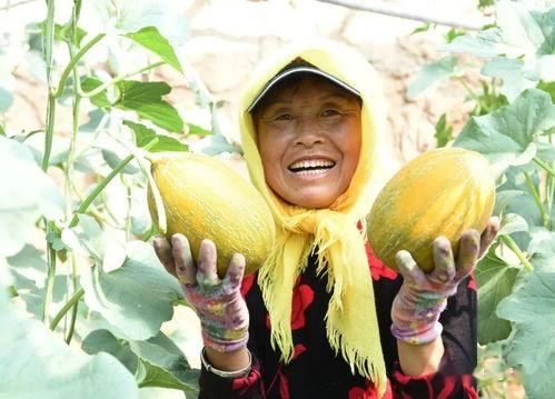 冷门吃瓜哥早期作品,早期作品中的趣味与深度